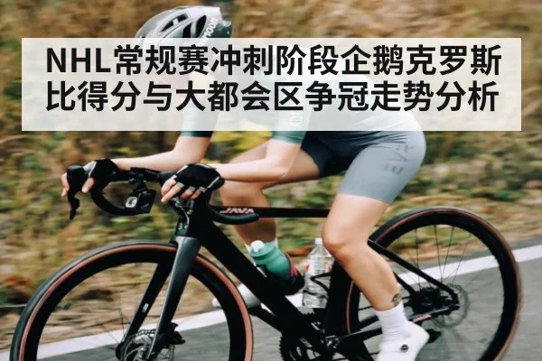 NHL常规赛冲刺阶段企鹅克罗斯比得分与大都会区争冠走势分析 - kaiyun